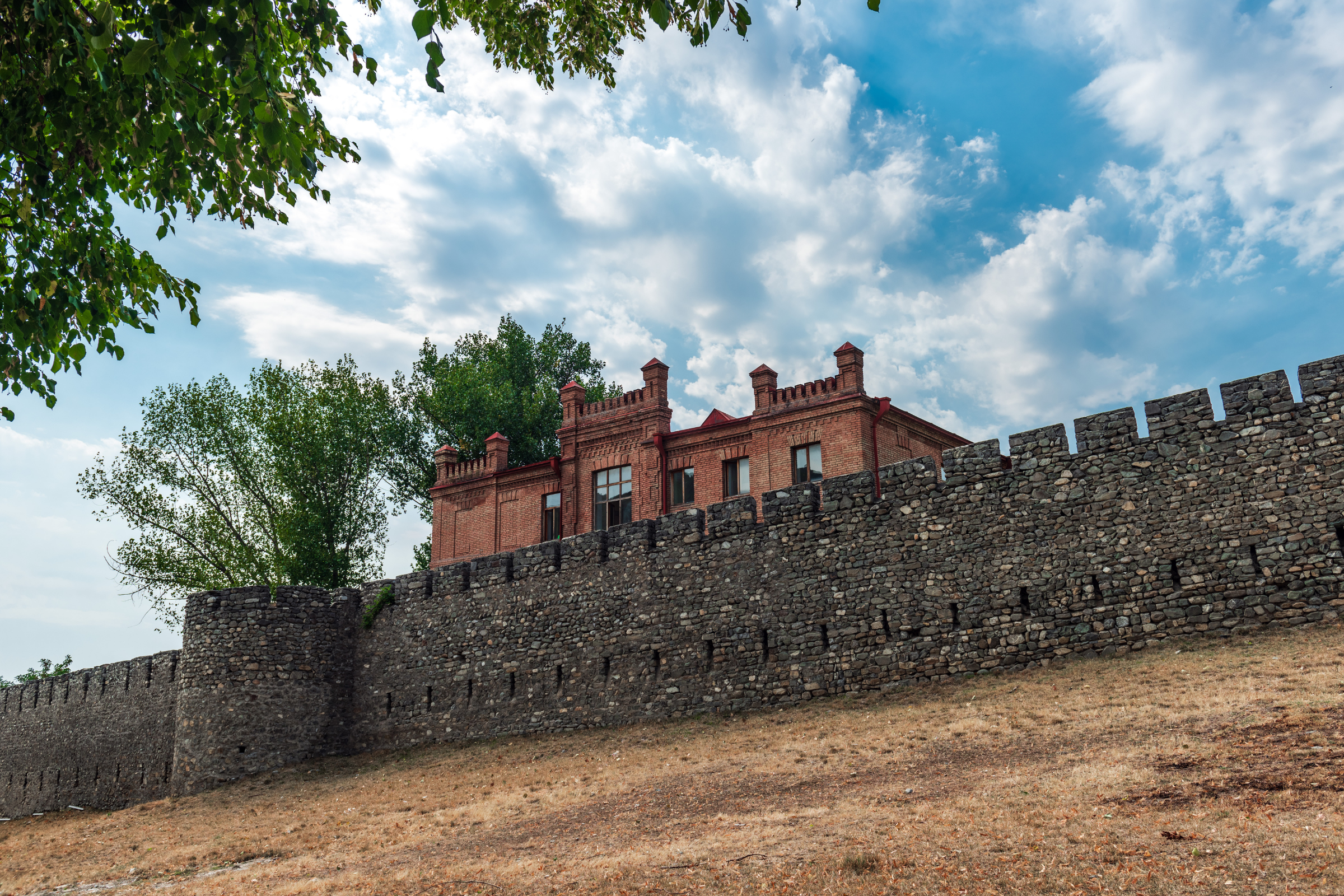 sheki (3).webp